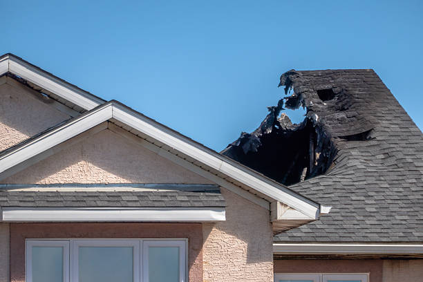 Top rated local Fire Damage Removal specialists in Riverview, FL